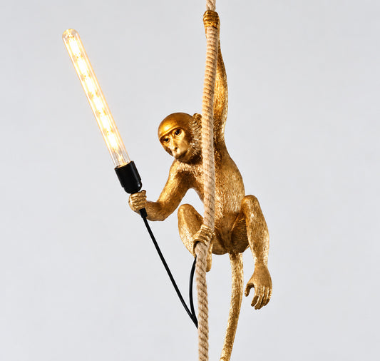 Muupa verified variant Image 1 — Gold Rope Climber