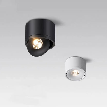 Aluminum Cylindrical Ceiling Light With Swivel Head - Image 1