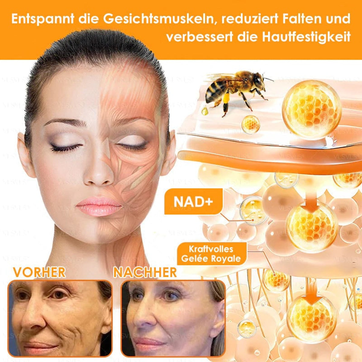 Anti Aging Cream With Bee Peptide Complex For Skin Firming And Renewal - Image 2