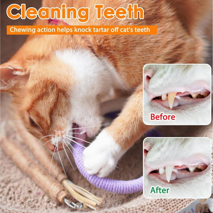 Cat Chew Toy With Silvervine Balls And Cotton Rope For Dental Care - Image 9