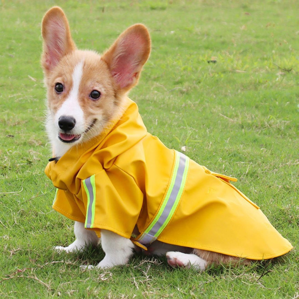 Dog Jacket Raincoat Hooded With Reflective Stripes And Adjustable Strap - Image 7