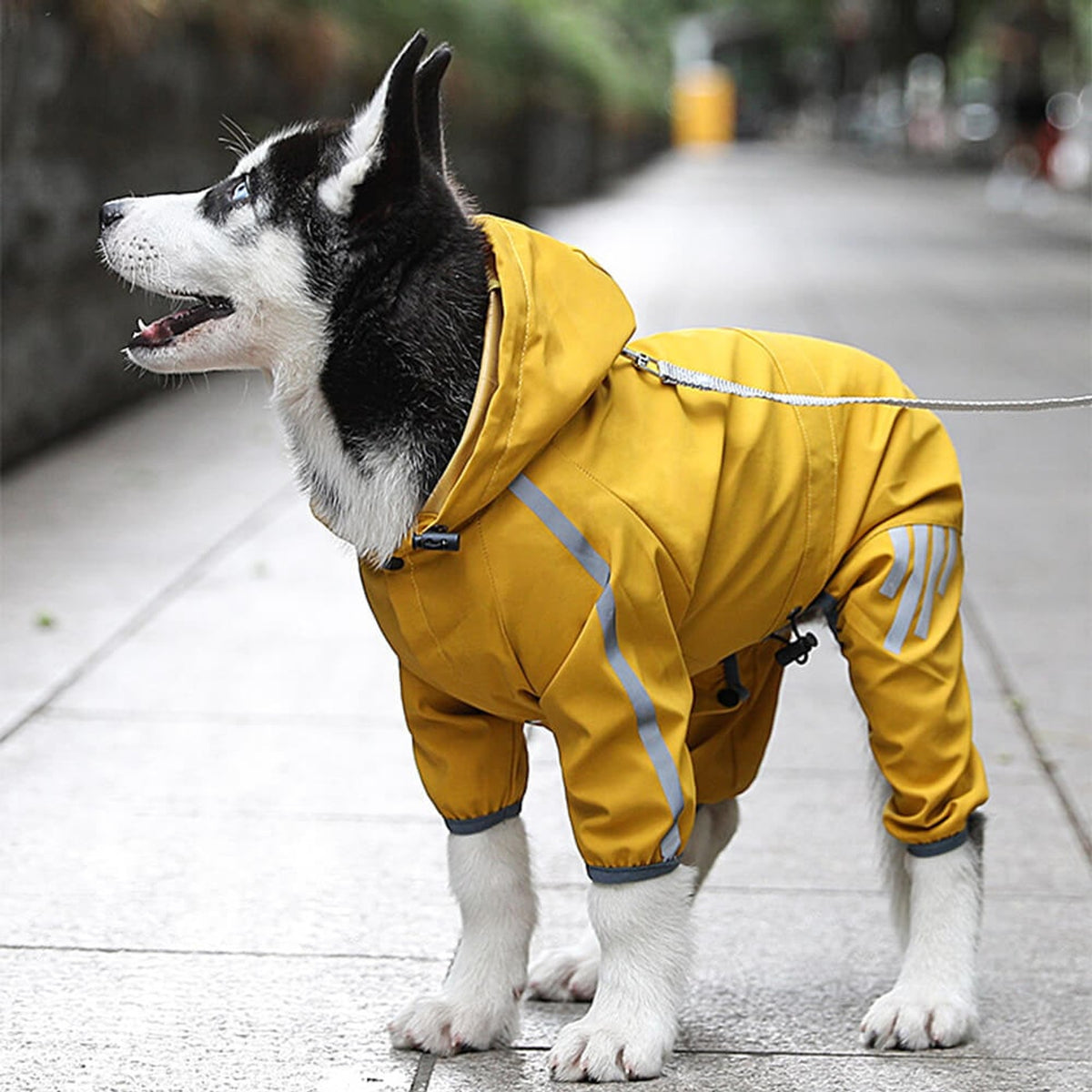 Dog Raincoat Full-Body Hooded Waterproof Rain Jacket With Reflective Strips - Image 12