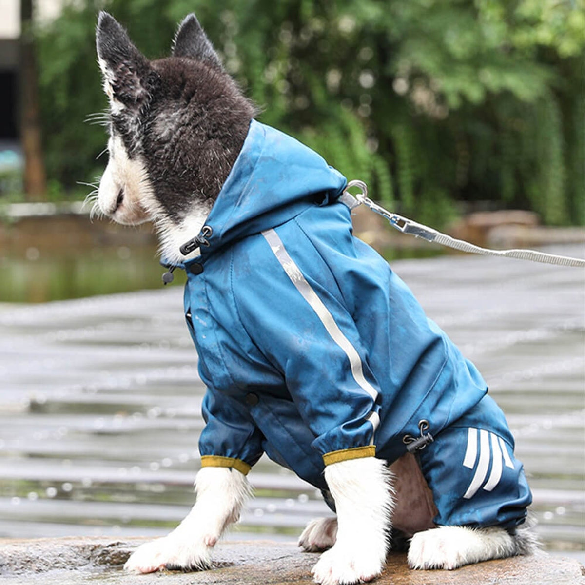 Dog Raincoat Full-Body Hooded Waterproof Rain Jacket With Reflective Strips - Image 4