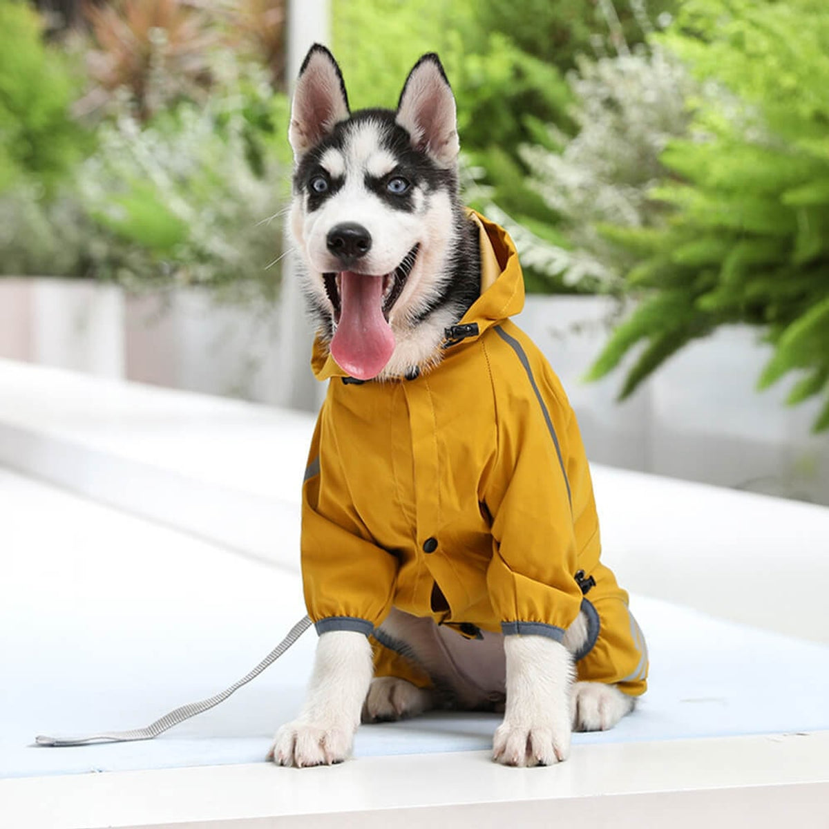 Dog Raincoat Full-Body Hooded Waterproof Rain Jacket With Reflective Strips - Image 7