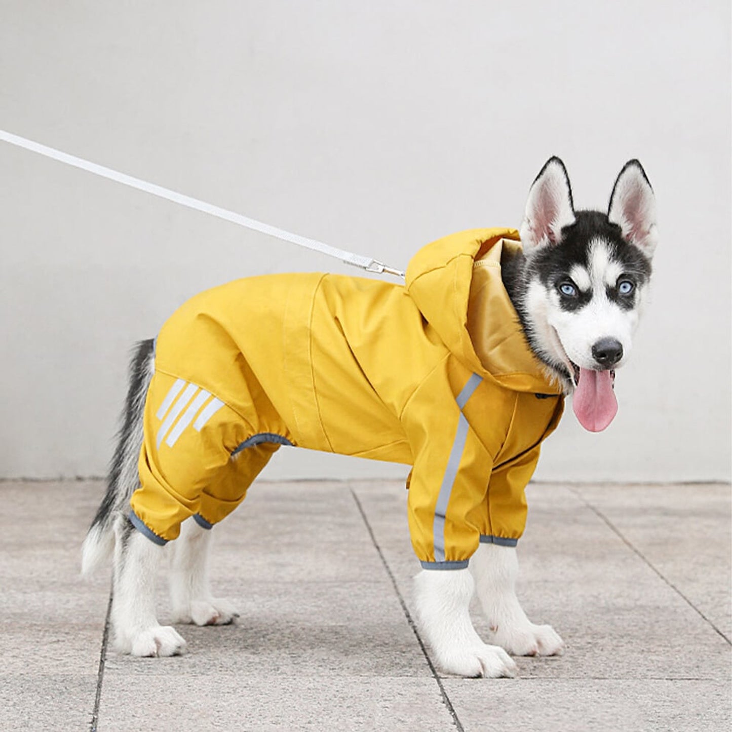 Dog Raincoat Full-Body Hooded Waterproof Rain Jacket With Reflective Strips - Image 8