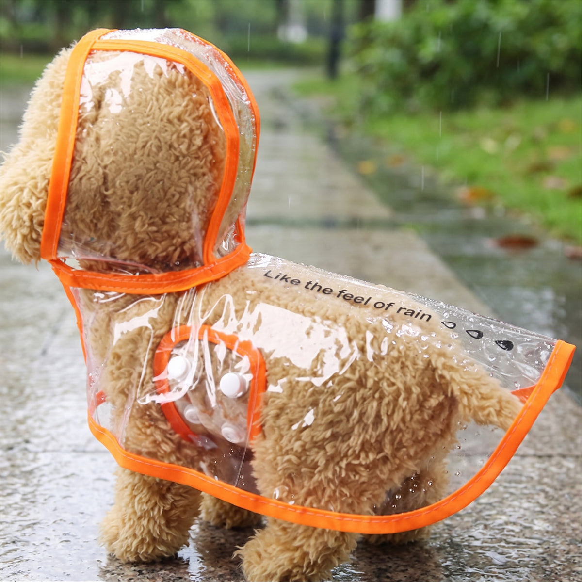 Dog Raincoat Waterproof Jacket With Transparent Hood And Snap Closure For Small Pets - Image 1