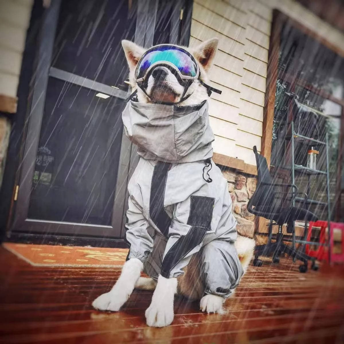 Dog Raincoat Waterproof Full-Body Suit With Hood Reflective Jacket For Pets - Image 2
