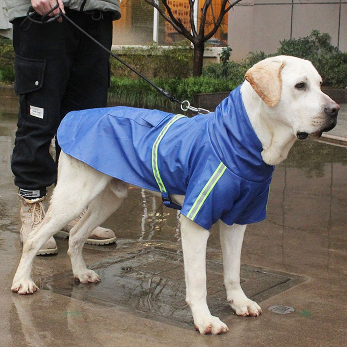 Dog Raincoat Waterproof Rain Jacket With Hood And Reflective Strips For Pets - Image 1