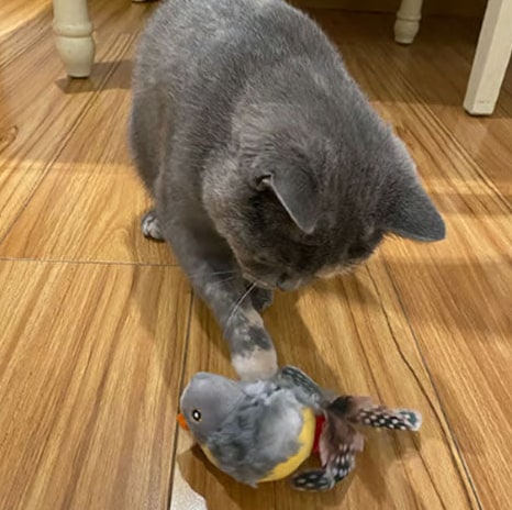 Interactive Cat Toy With Realistic Bird Sounds And Feathers For Indoor Hunting Play - Image 8