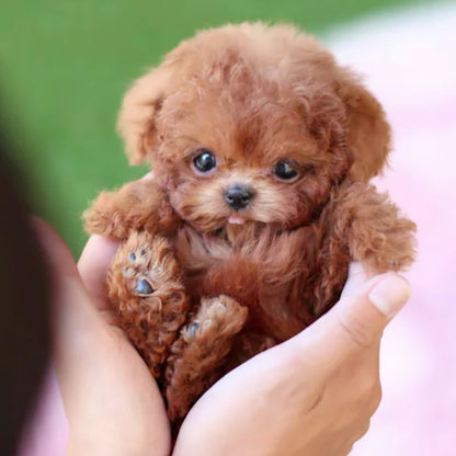 Interactive Robotic Puppy With Realistic Movements And Touch Response - Image 3