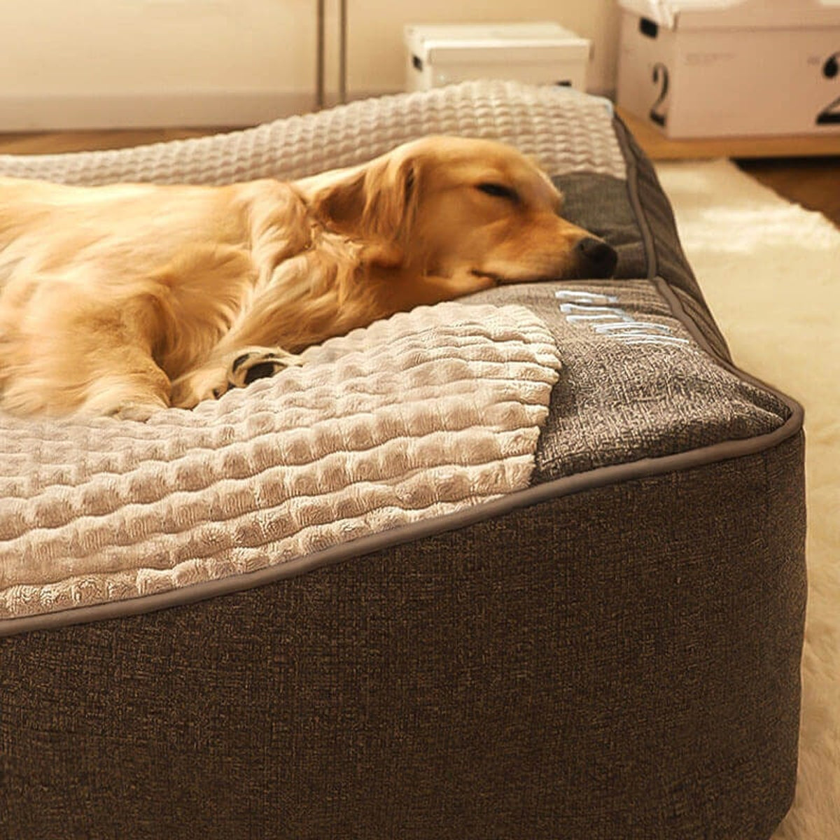 Orthopedic Memory Foam Dog Bed With Elevated Head Support For Large Dogs - Image 4