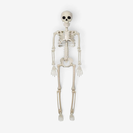 Outdoor Halloween Decor Life-Size Articulated Plastic Skeleton Decoration Spooky - Image 1