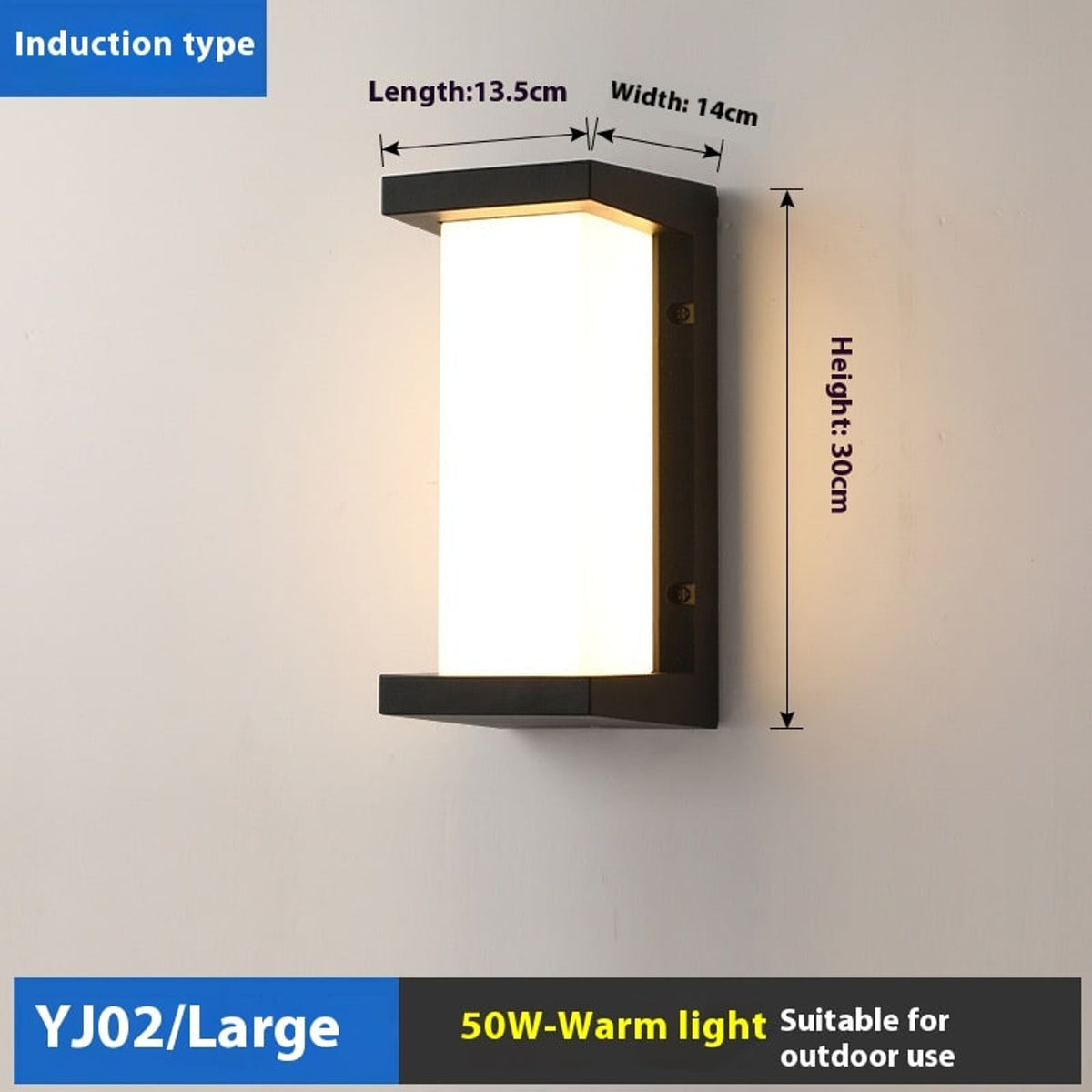 Outdoor Wall Lamp In Matte Black Finish With IP65 Waterproof Rating - Image 12