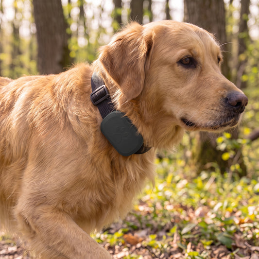 Pet GPS Tracker With Real-Time Tracking And Motion Alerts - Image 4