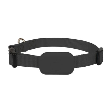 Pet GPS Tracker With Real-Time Tracking And Motion Alerts - Image 4