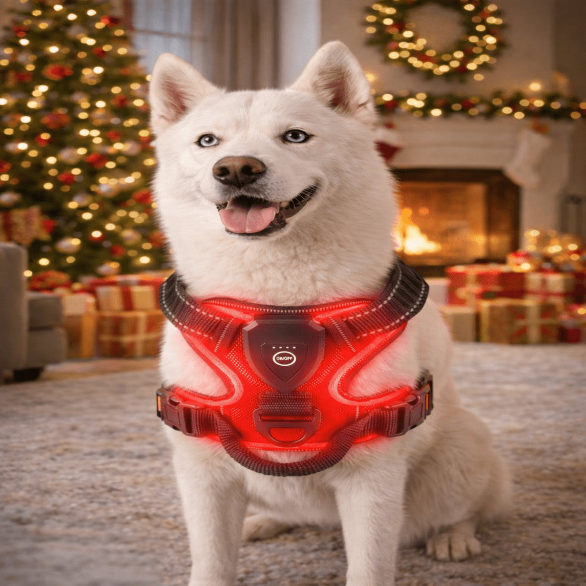 Rechargeable LED Dog Harness For Nighttime Visibility With Adjustable Fit - Image 1