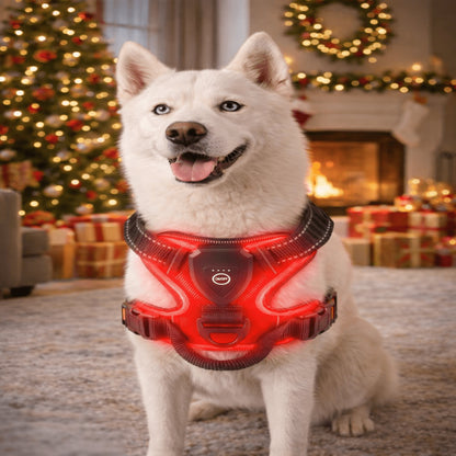 Rechargeable LED Dog Harness For Nighttime Visibility With Adjustable Fit - Image 1