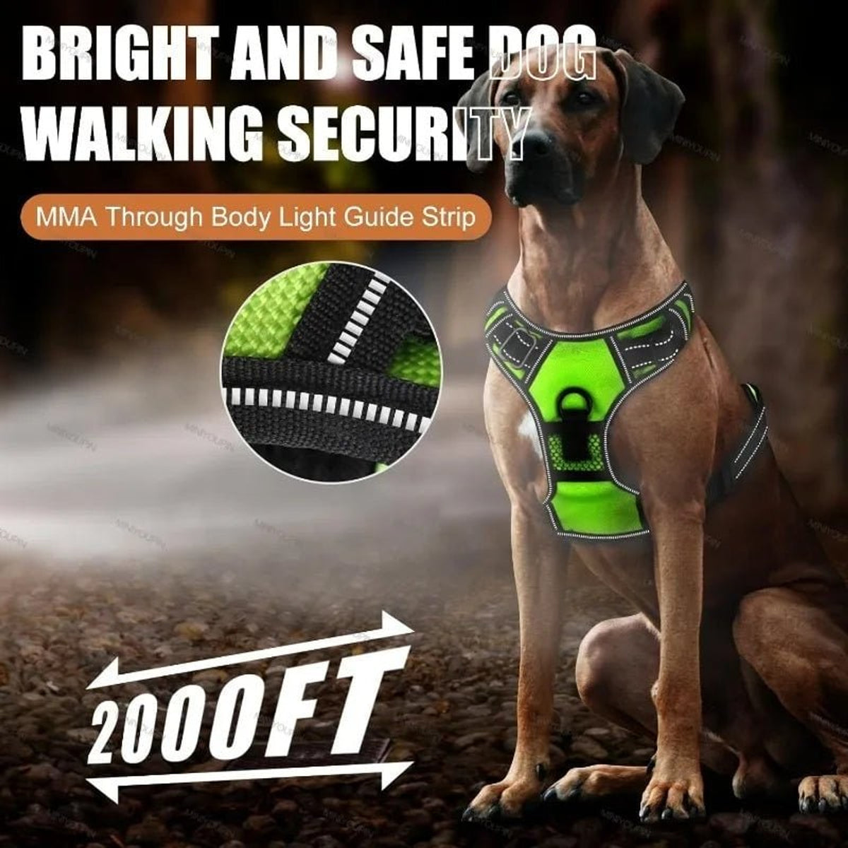 Rechargeable LED Dog Harness For Nighttime Visibility With Adjustable Fit - Image 4