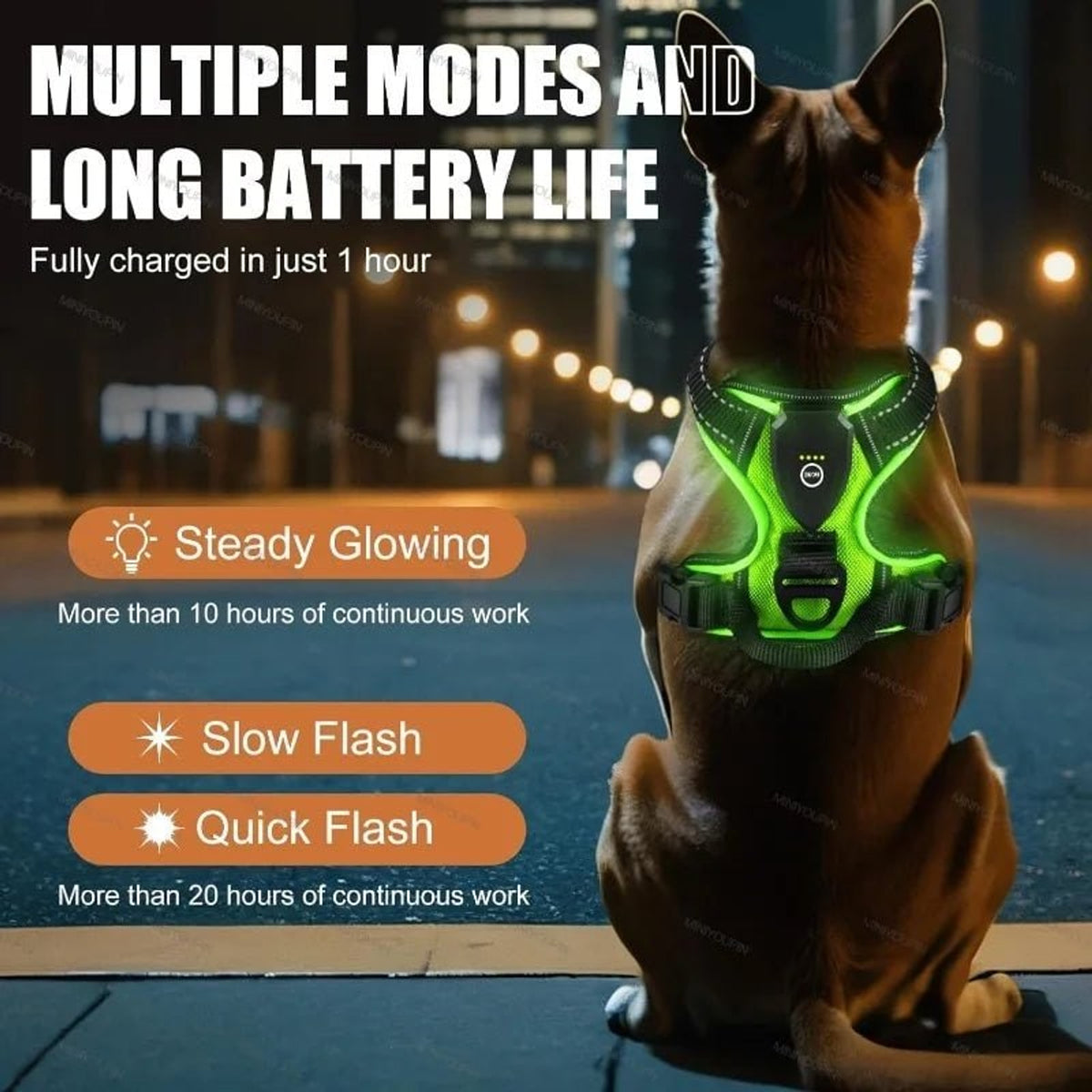 Rechargeable LED Dog Harness For Nighttime Visibility With Adjustable Fit - Image 3