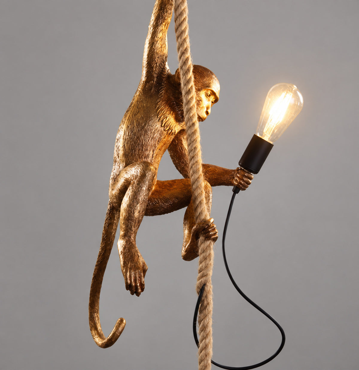 Muupa verified variant Image 12 — Gold Rope Hanging
