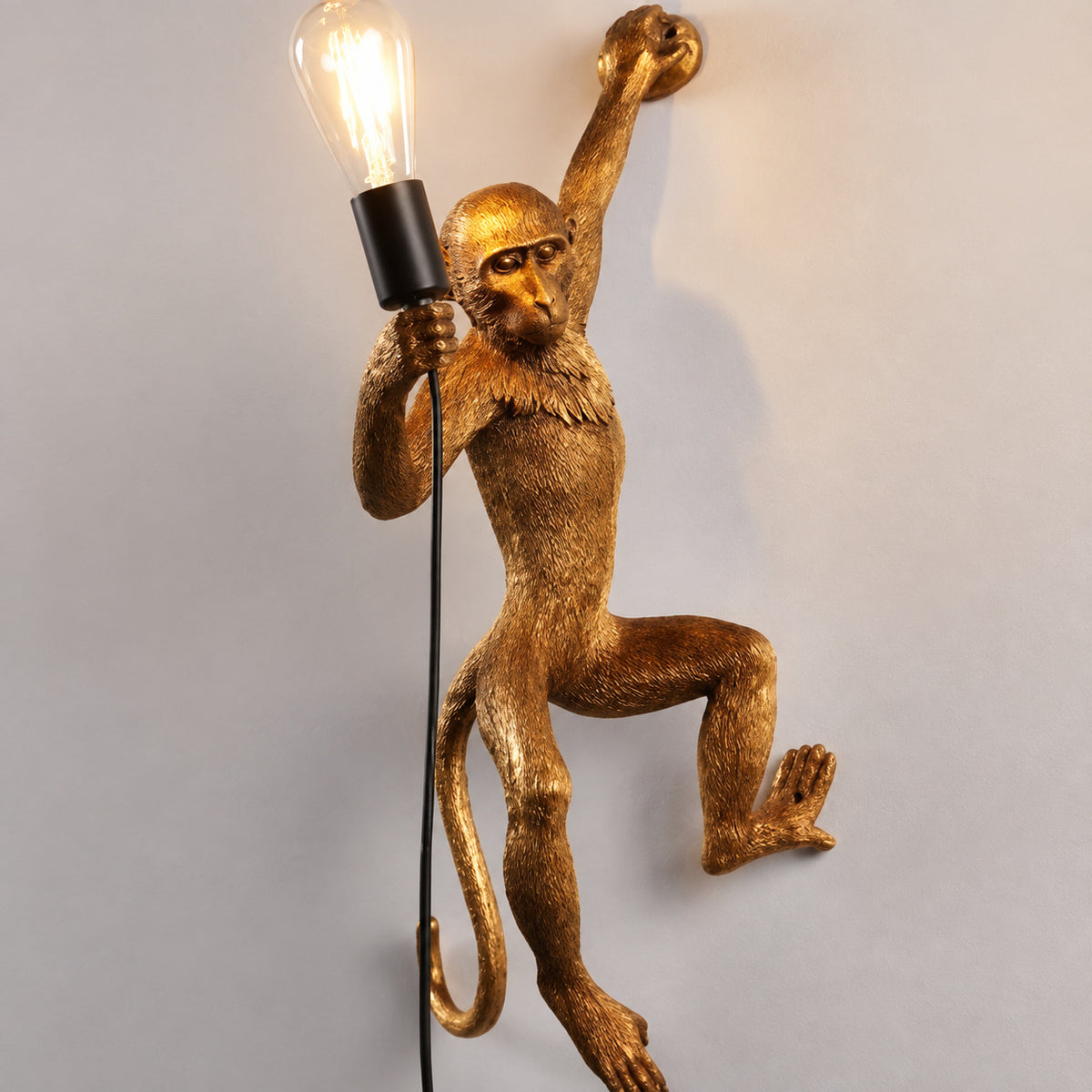 Muupa verified variant Image 2 — Gold Wall Climber