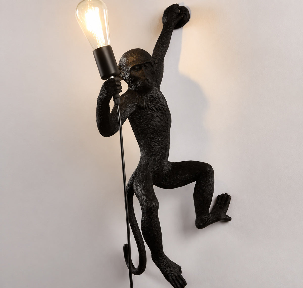 Muupa verified variant Image 3 — Black Wall Climber