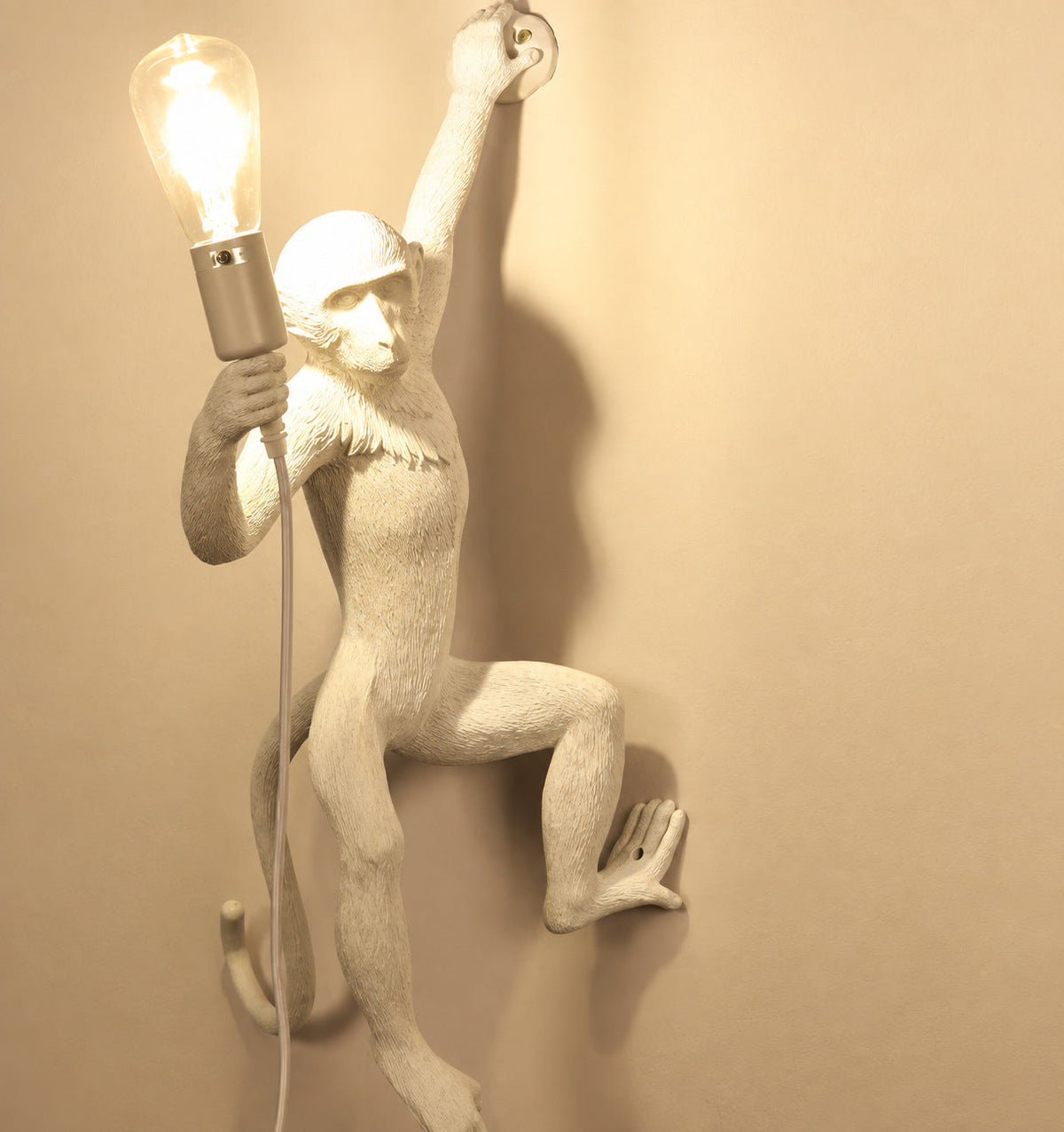 Muupa verified variant Image 11 — White Wall Climber