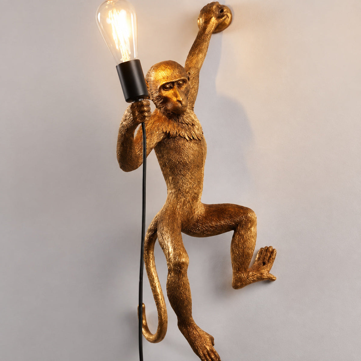 Muupa verified variant Image 2 — Gold Wall Climber
