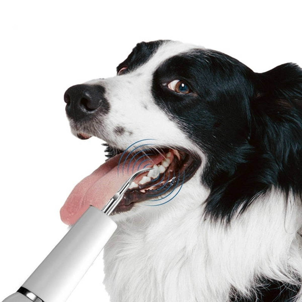 Ultrasonic Dog Dental Cleaner For Plaque And Tartar Removal At Home - Image 2