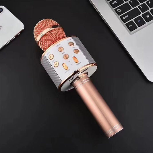 Wireless Karaoke Microphone With Voice Modulation Built-In Speaker And Fm Radio - Image 1